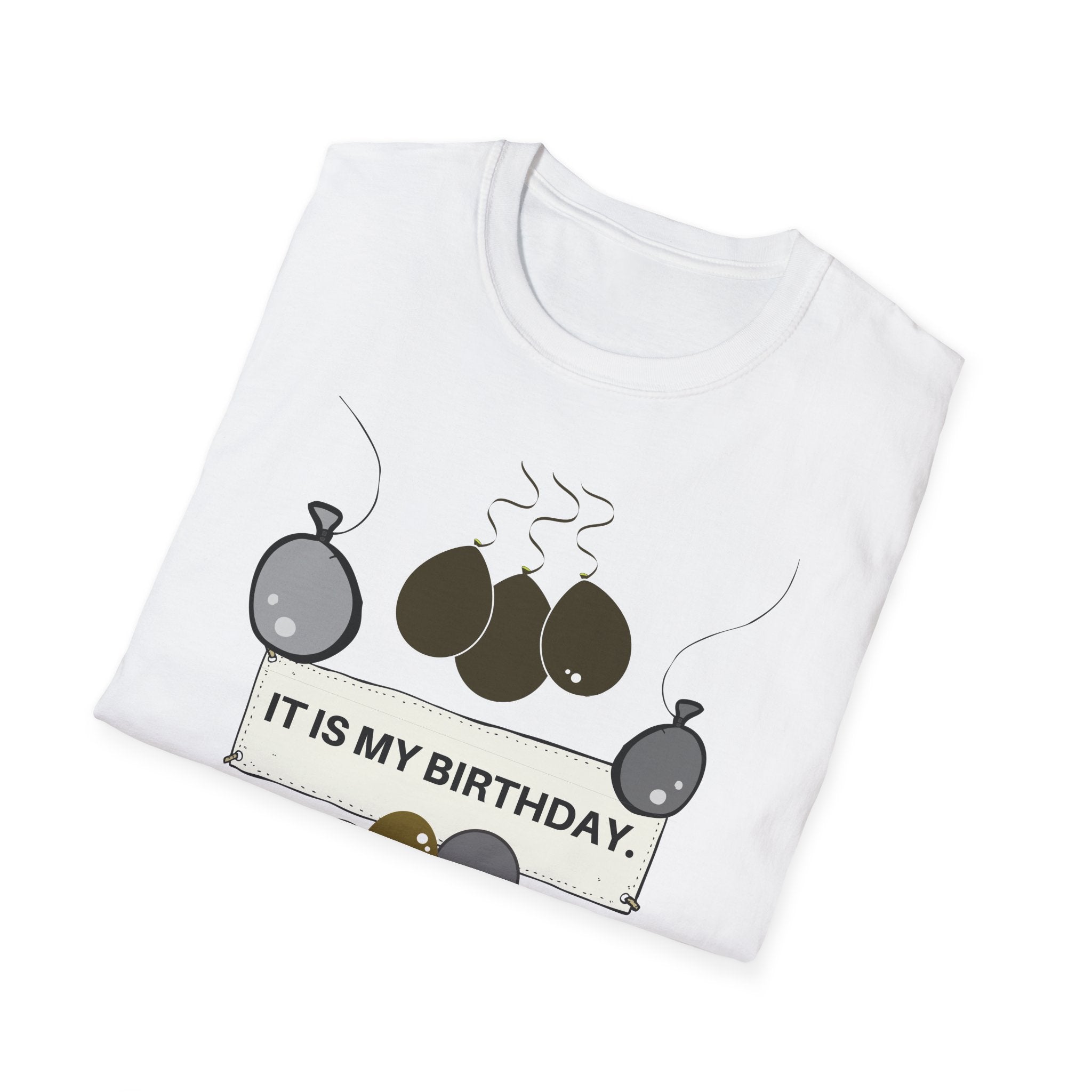 the Office birthday t-shirt | "It is my birthday" the Office theme shirt