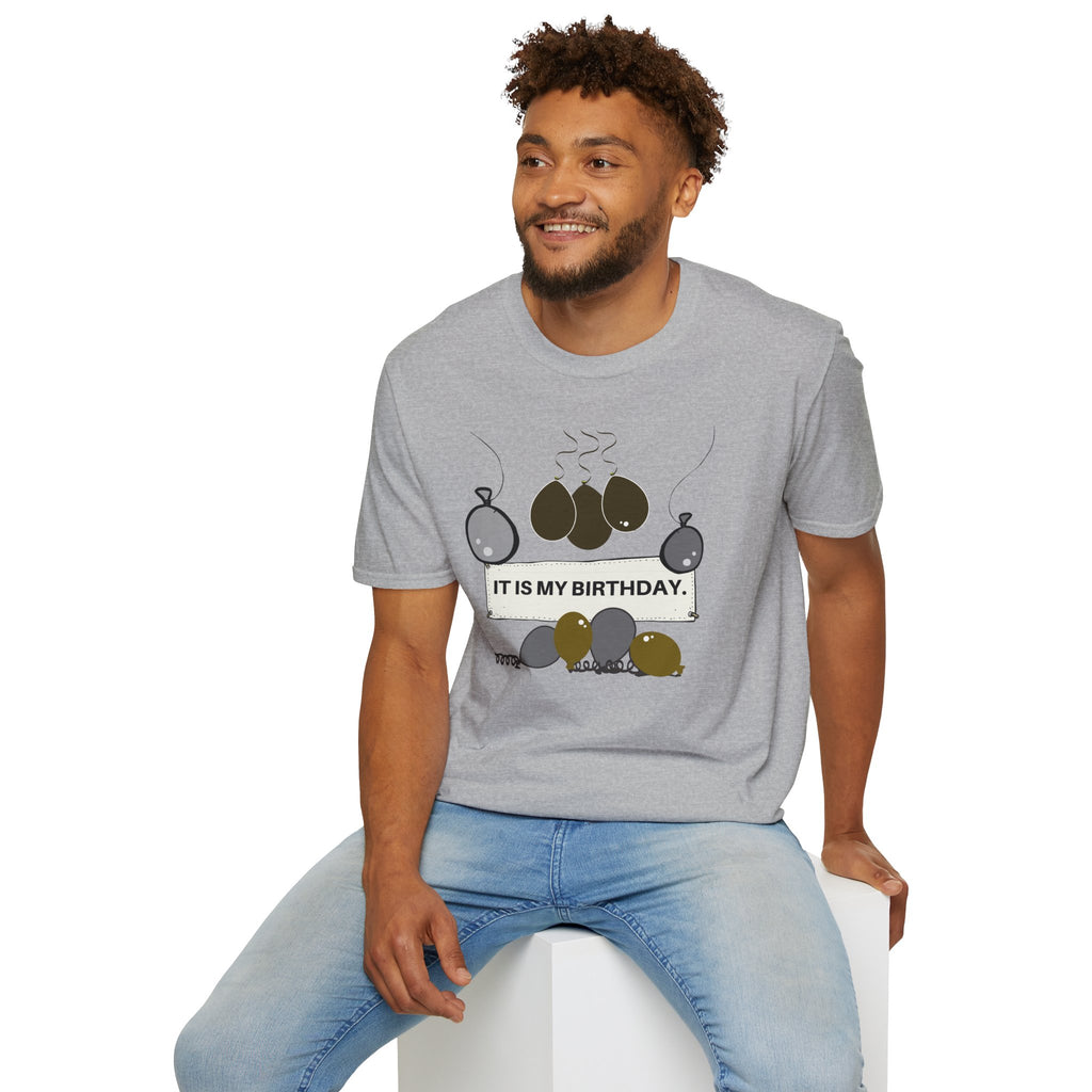 the Office birthday t-shirt | "It is my birthday" the Office theme shirt